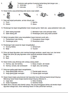 20 Latihan Soal BAB 5 IPAS Kelas 6 SD Semester 2 Kurikukulum Merdeka