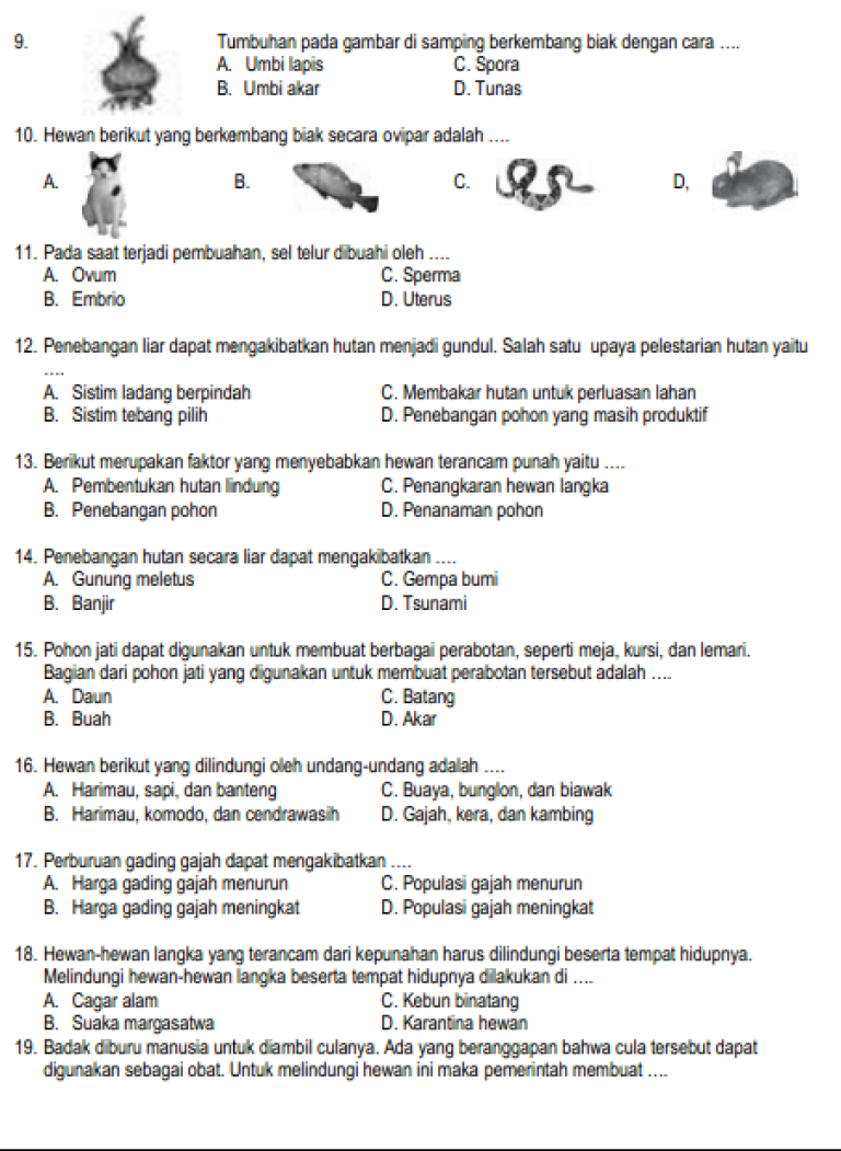soal ujian kelas 6 semester 2 soal ujian kelas 6 semester 2
