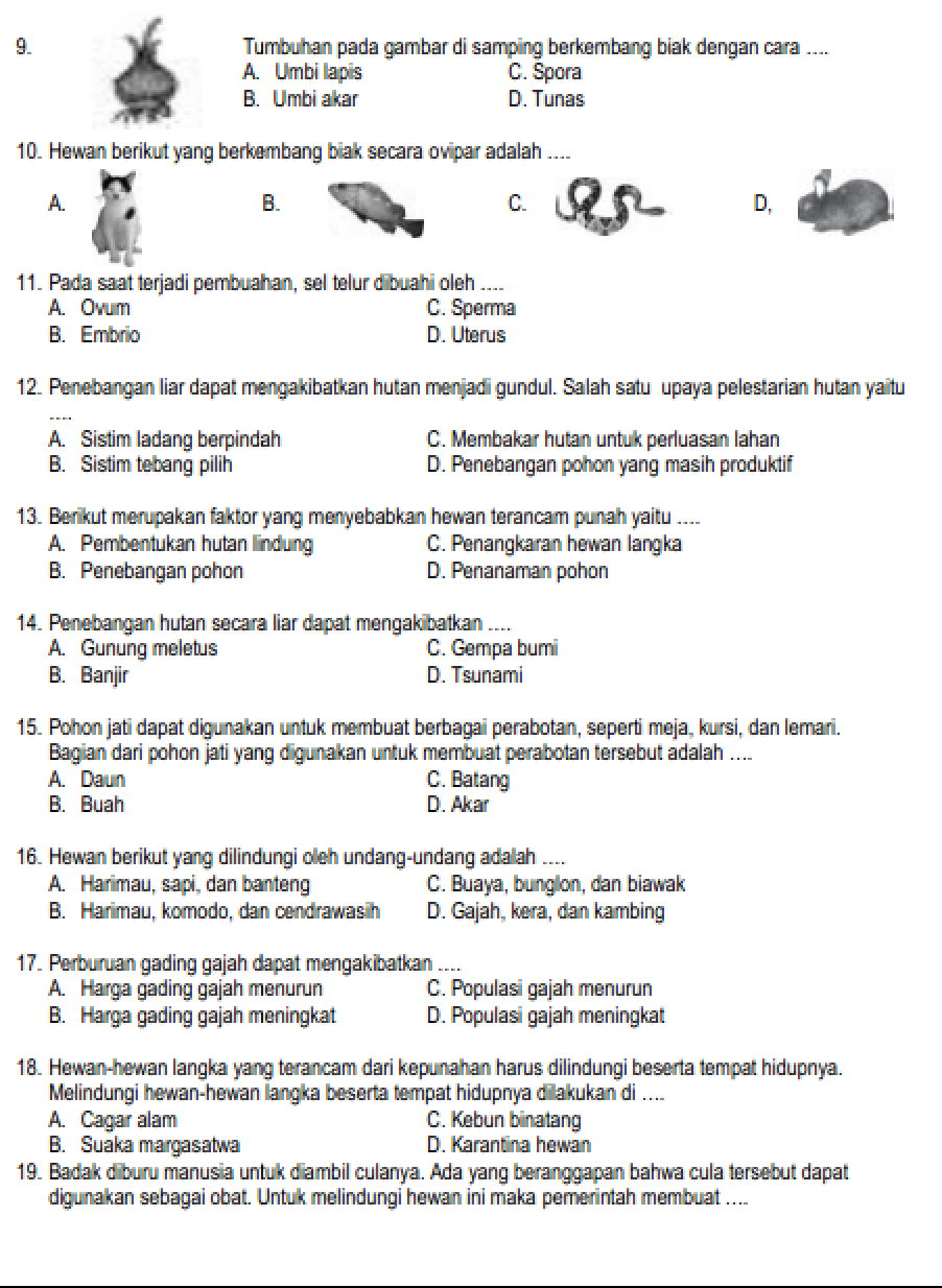 soal ujian kelas 6 semester 2 soal ujian kelas 6 semester 2