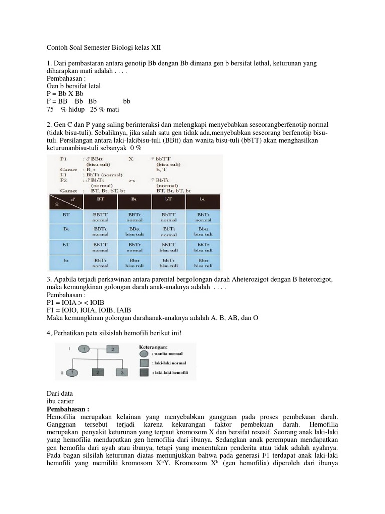 7 Contoh Soal dan Pembahasan Biologi Kelas XII Semester 2 untuk Raih Nilai OMI Tinggi 7 Contoh Soal dan Pembahasan Biologi Kelas XII Semester 2 untuk Raih Nilai OMI Tinggi